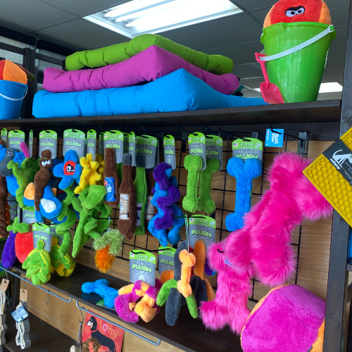 Eco-Products inside of the Howlistic store