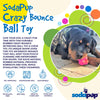SodaPup Crazy Bounce Ultra Durable Rubber Chew & Retrieving Dog Toy (Orange Squeeze - Large)