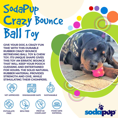 SodaPup Crazy Bounce Ultra Durable Rubber Chew & Retrieving Dog Toy (Orange Squeeze - Large)