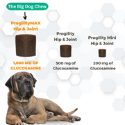 Nootie Progility Max Hip & Joint Soft Chew Supplement for Dogs