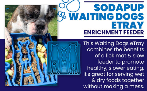 SodaPup Waiting Dogs Design eTray Enrichment Tray for Dogs (Blue - 8” wide X 8” tall 1” thick)