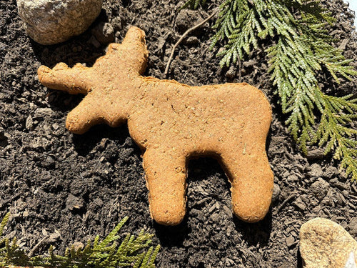 North Woods Animal Treats 3 Dozen Large Shaped Dog Cookies