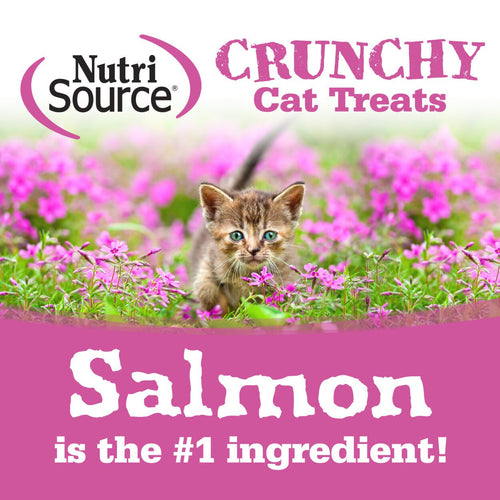 NutriSource Crunchy Cat Salmon Tuna Treats 3 Oz San Diego CA Howlistic