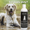 Shiny Paw Deep Cleaning Evergreen Aloe Vera & Rosemary Shampoo for Dogs (16 oz)