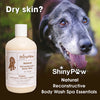 Shiny Paw Oatmeal and Lemongrass Spa Essentials Reconstructive Body Wash for Dogs (16 oz)