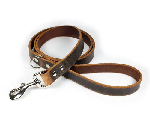 Sleepy Pup Thick Leather Dog Leash