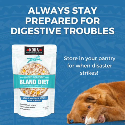 Koha Limited Ingredient Wet Bland Diet Lamb & White Rice Recipe for Dogs