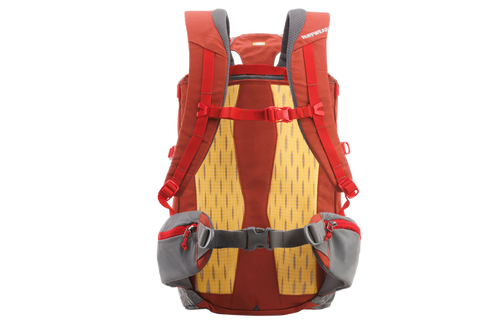 Ruffwear Hitch Hiker™ Dog Backpack Carrier