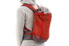 Ruffwear Hitch Hiker™ Dog Backpack Carrier