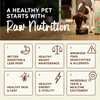 Primal Freeze-Dried Raw Nuggets Dog Food Chicken Recipe