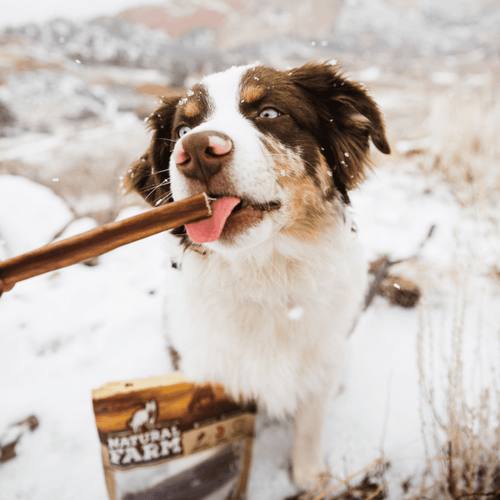 Natural Farm 6 Inch Standard Bully Sticks Dog Treats
