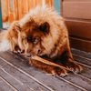Natural Farm 12 Inch Standard Bully Sticks Dog Treats