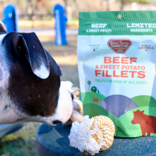 Gaines Family Farmstead Beef & Sweet Potato Fillets Dog Treats